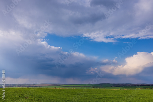 Landscape view of green fields with wheat in Ukraine  © elena_suvorova