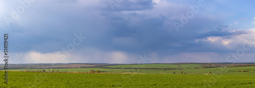 Landscape view of green fields with wheat in Ukraine 