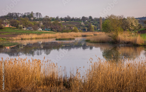 Beautiful lake with reeds in Ukraine