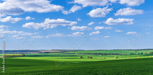 Foto Rural green agricultural fields and hills in Ukraine