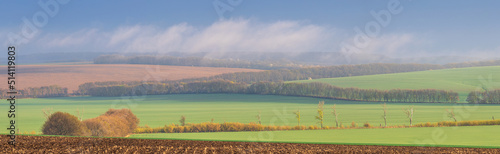 Landscape view of green fields with wheat in Ukraine