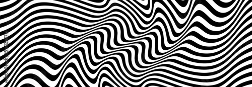 Black and white curve lines pattern. Abstract vector background