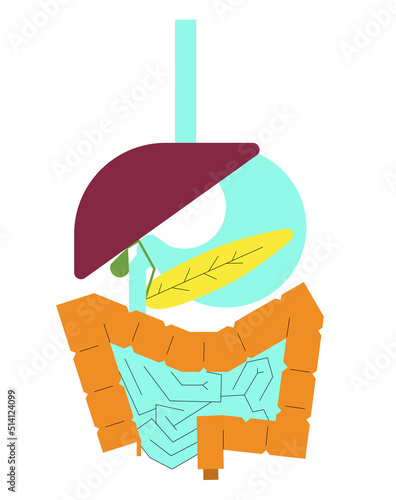 Concept of human digestive system build by abstract shapes. Flat geometric style illustration for background, packaging, ads..