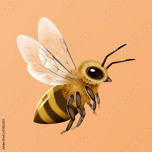 Flying honey bee