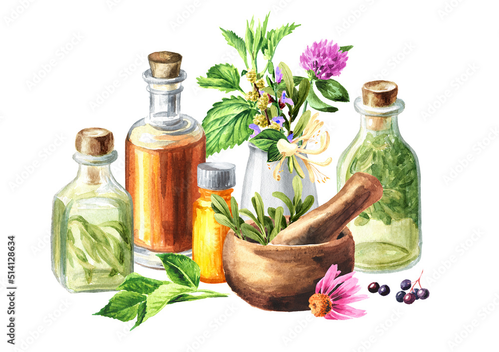 Medicinal plants for Herbal homemade organic tincture. Alternative ...