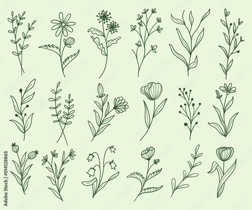 Botanical leaf and flower vector set. Earth tone boho foliage line art drawing with abstract shape.