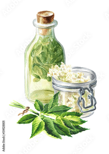 Herbal homemade organic tincture from fresh medicinal herbs. Hand drawn watercolor illustration isolated on white background