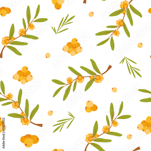 Berries seamless pattern. Autumn Background with sea-buckthorn berries. Design for poster, kitchen textiles, clothing and wallpaper. Flower graphic design. Botany texture. Vector