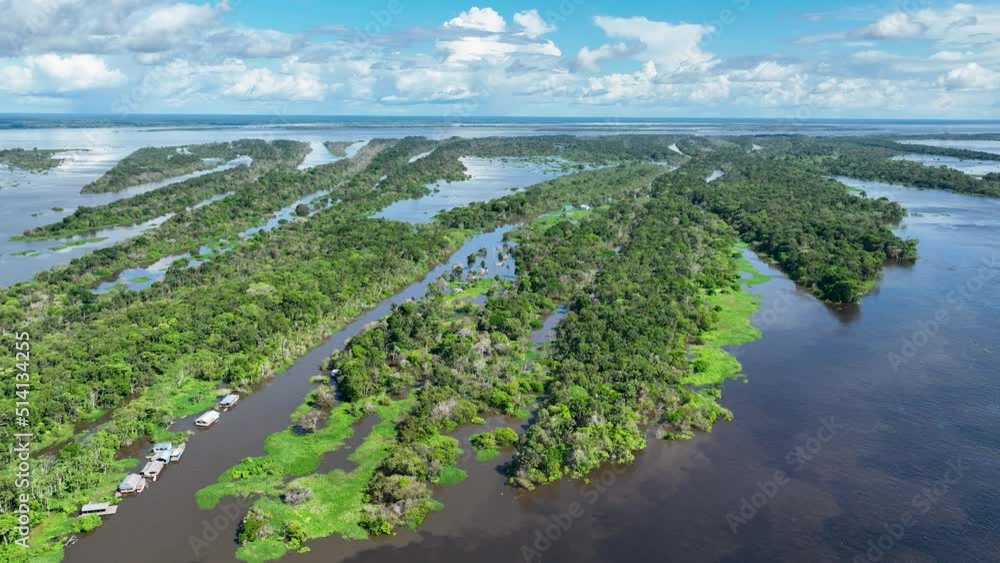 Amazon River at Amazon Rainforest. The biggest tropical rainforest of ...