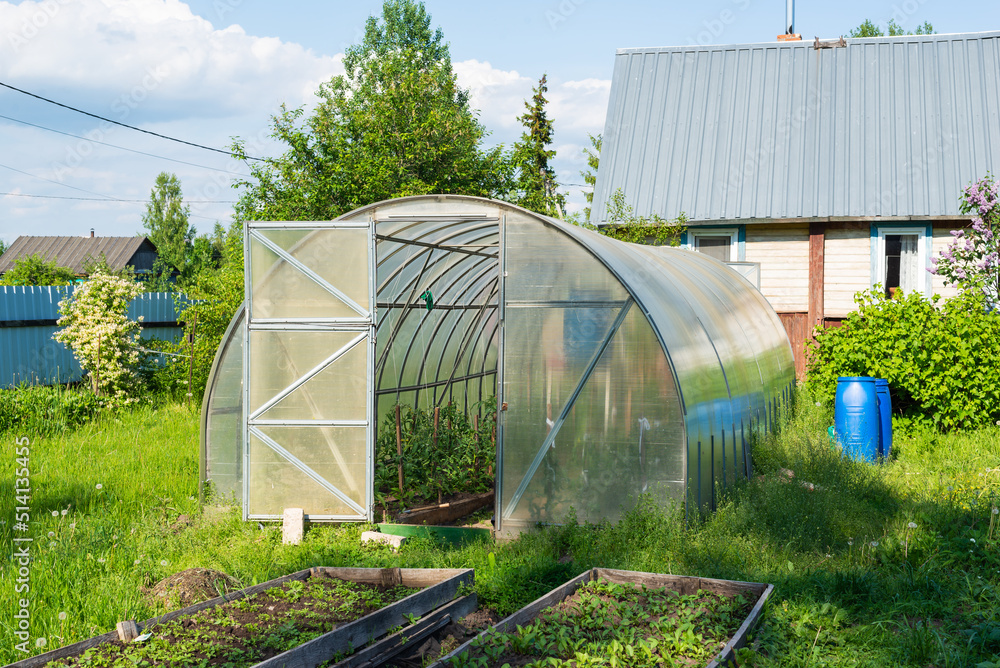 Greenhouse with grown vegetables in the village garden.