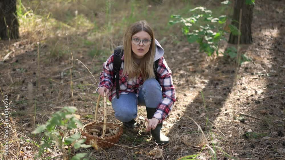 Caucasian woman sitting at poisonous mushrooms gesturing no looking at camera. Wide shot portrait of confident mushroom picker posing in sunny spring autumn forest in slow motion Caucasian woman sitting at poisonous mushrooms gesturing no looking at camera. Wide shot portrait of confident mushroom picker posing in sunny spring autumn forest in slow motion