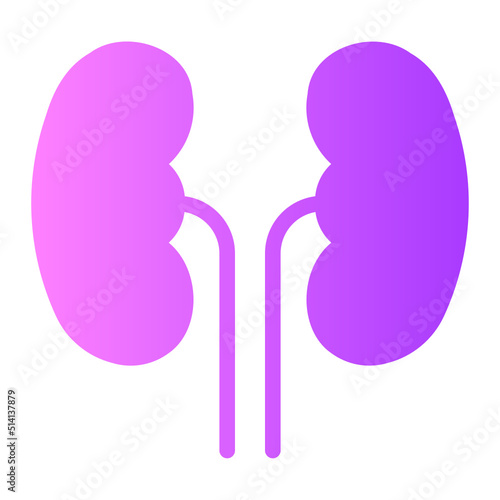 kidney gradient icon