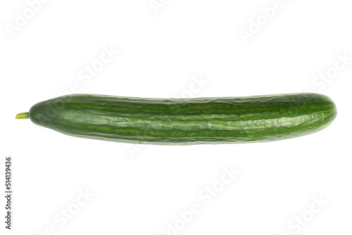 Whole fresh green cucumber isolated on white background.