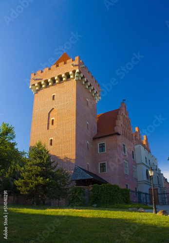 Royal Castle in Poznan, Poland 