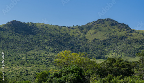 Naturreservat Hluhluwe Imfolozi Park Südafrika © vschlichting