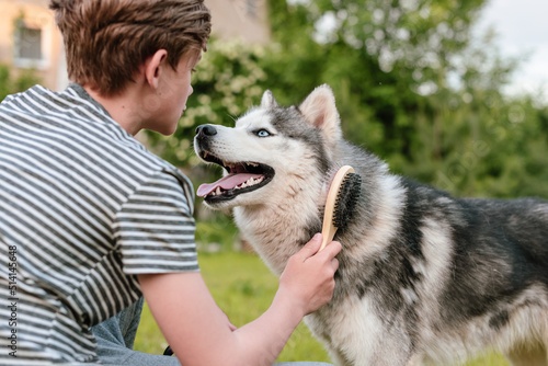 Obraz na płótnie Young teenage boy combing dog at special brush outdoor in yard