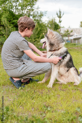 Young teenage boy combing dog at special brush outdoor in yard. Boy brushing husky with comb. Concept of care animal, home grooming, best pet for child, teenager and pet dog, favorite pet.