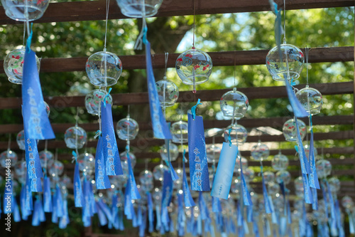 大阪府　水無瀬神宮風景素材