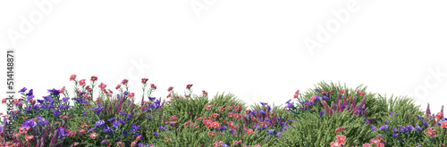 3d render distance in front of the camera Flower garden on a white background © jomphon