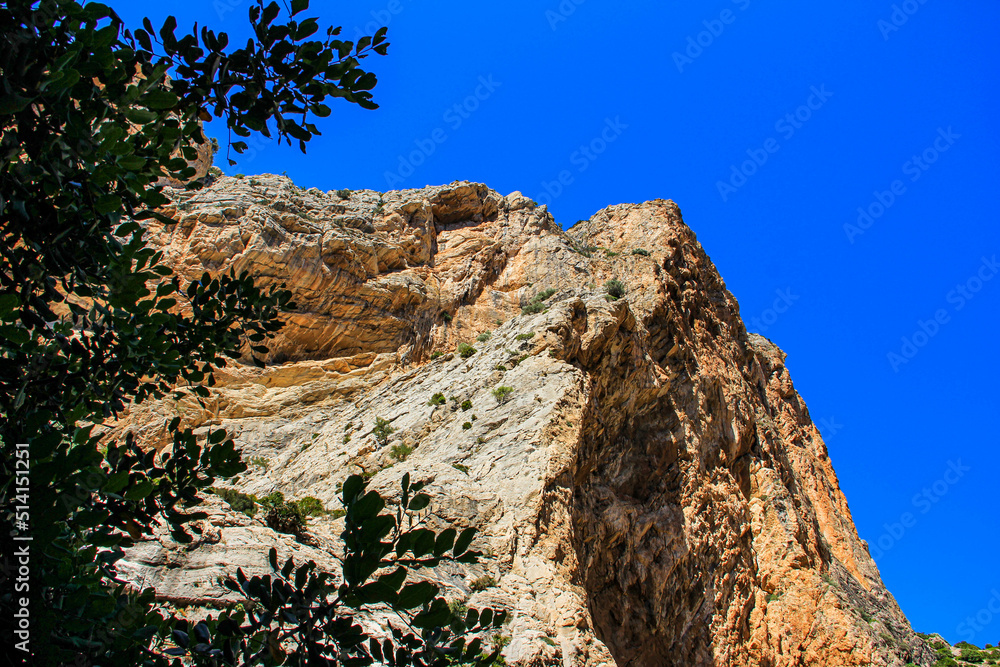 Tree and the mountain - Caminito del Rey