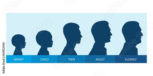 The stages of a man's growing up - infant, child, teen, adult, elderly. Collection of silhouettes of men of different ages. Vector illustration