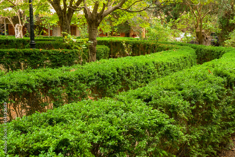 Valldemossa.Jardines de la Cartoixa.Sierra de Tramuntana.Mallorca.Illes Balears.España. Valldemossa.Jardines de la Cartoixa.Sierra de Tramuntana.Mallorca.Illes Balears.España.