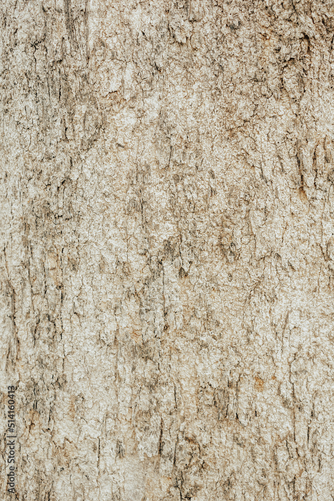 embossed texture background of brown bark