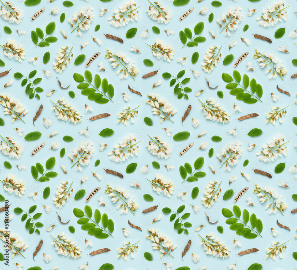 Naklejka premium Seamless floral pattern of blooming white Robinia pseudoacacia or black locust false acacia flowers leaves and seeds on blue background top view flat lay
