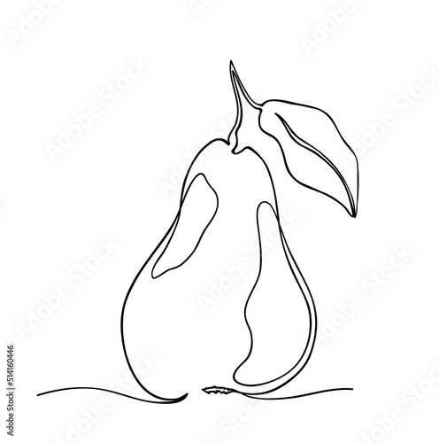 pear one line fruit illustration drawing. single line pear design vector