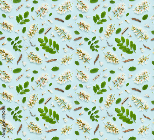 Seamless floral pattern of blooming white Robinia pseudoacacia or black locust false acacia flowers leaves and seeds on blue background top view flat lay