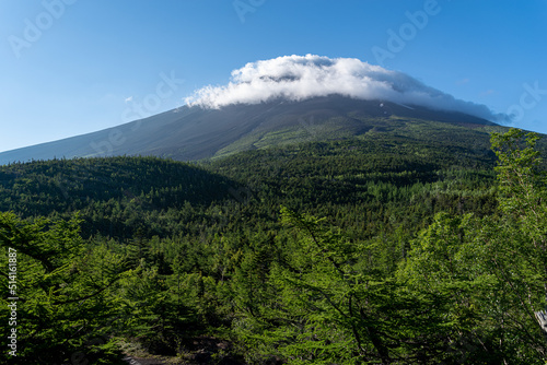 奥庭から見た初夏の富士山