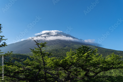 奥庭から見た初夏の富士山
