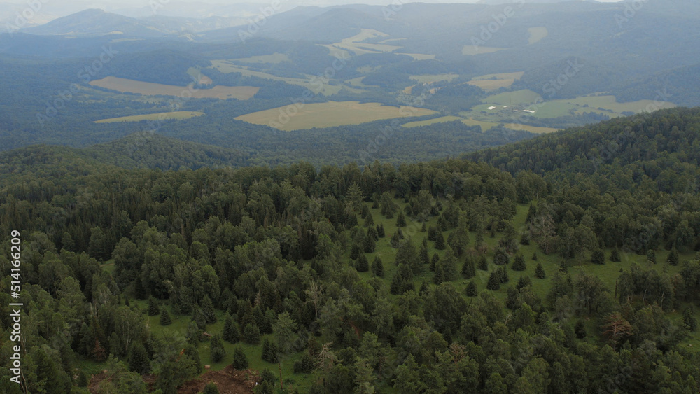 Green forest and valley on mountains of Manzherok under blue sky