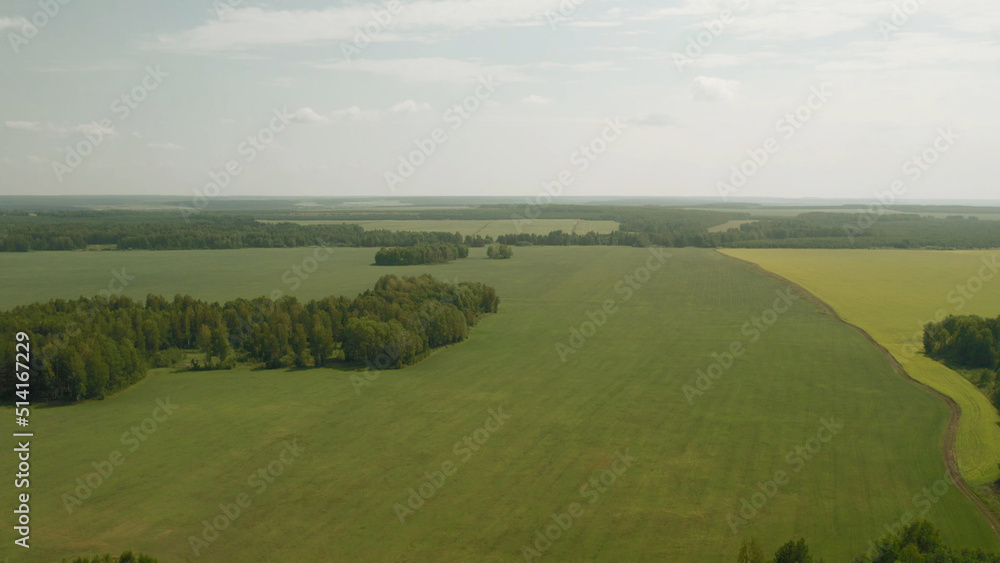 Green and yellow rural fields with blue sky in summer time in Ural