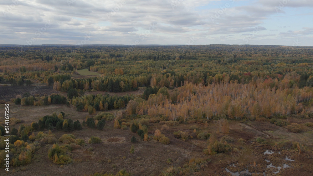 Autumn yellow and green forest in Ural Autumn yellow and green forest in Ural