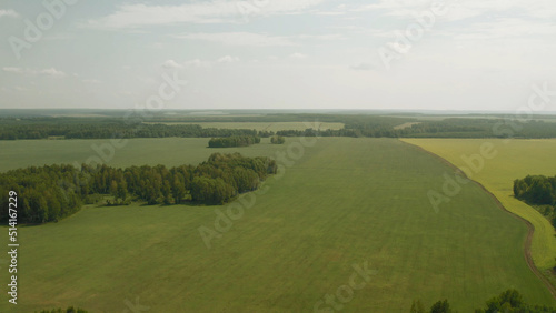 Green and yellow rural fields with blue sky in summer time in Ural