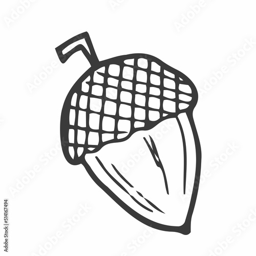 Linear cartoon hand drawn acorn. Cute raster black and white doodle acorn. Isolated monochrome acorn silhouette on white background.