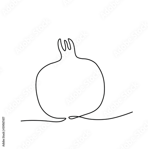 One line pomegranate vector illustration. Minimalist line art garnet drawing.