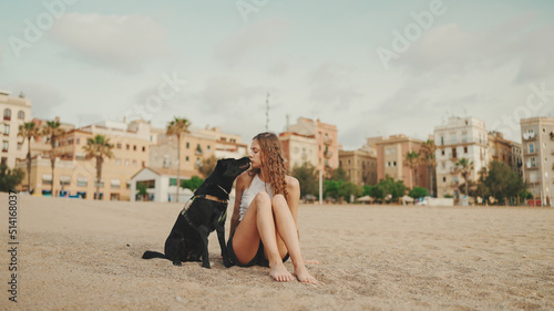 Lunch time. cute girl is sitting on the sand on the beach with her pet testing sandwich. The girl treats her dog with sandwich. Lunch on the beach on modern city background