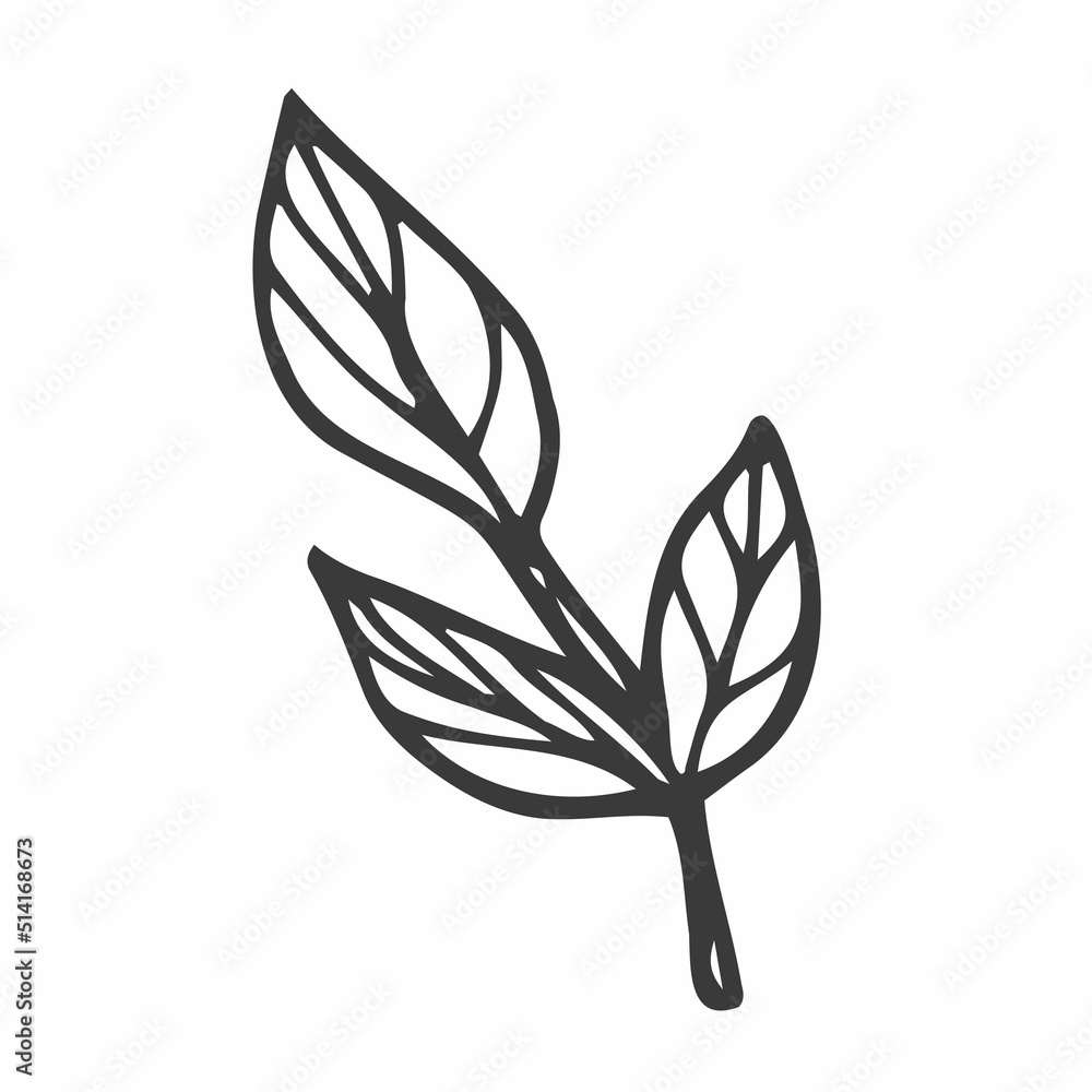 Hand drawn leaf. Doodle. Ecology concept. Isolated on white background. Vector illustration. Hand drawn leaf. Doodle. Ecology concept. Isolated on white background. Vector illustration.