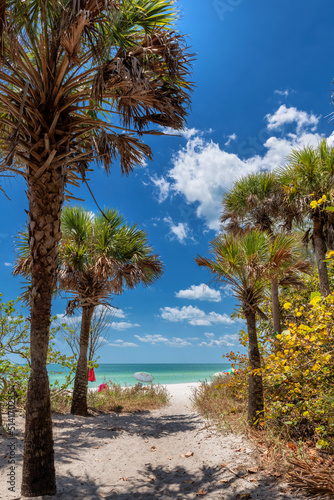 Palm trees in sunny tropical beach. The pathway to beautiful white sand beach in Naples Beach, Florida, USA © lucky-photo