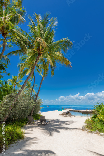 Coco palm trees on beautiful beach in tropical island, Key Largo. Florida