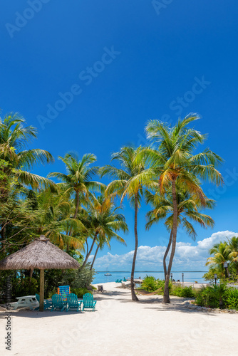 Palm trees on beautiful beach in tropical island  Key Largo. Florida