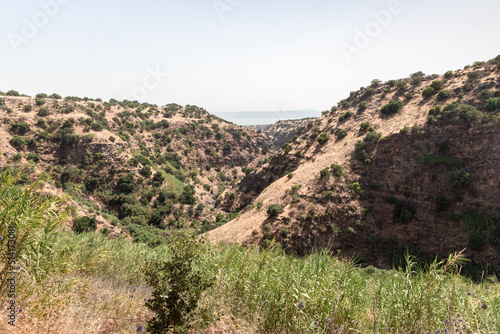 Hillsides overgrown with forests and grass in the Black Gorge on the banks of the Zavitan stream in the Golan Heights, near to Qatsrin, northern Israel