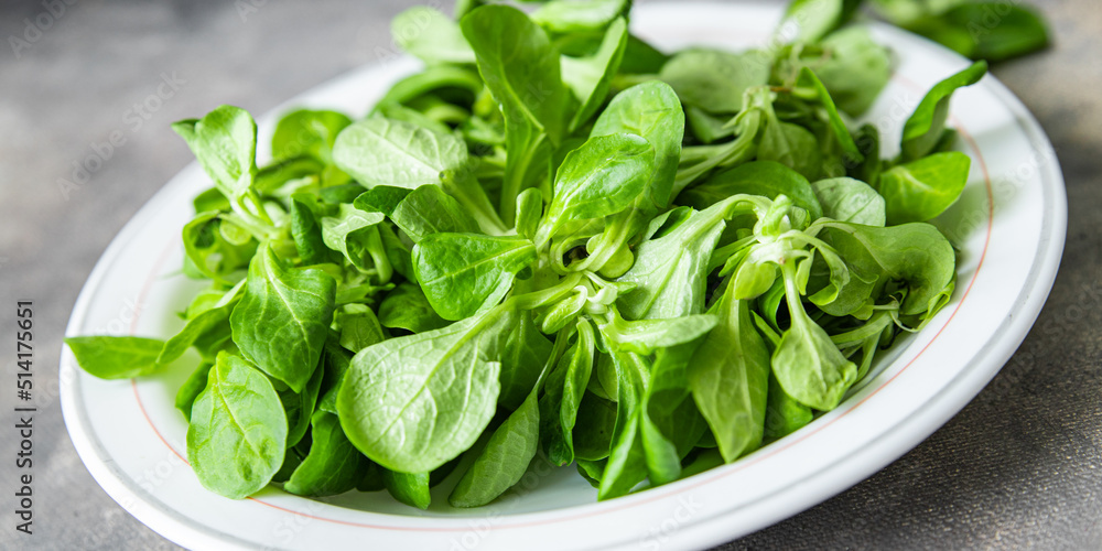 salad green mache leaves mung bean lettuce fresh healthy meal food snack diet on the table copy space food background rustic salad green mache leaves mung bean lettuce fresh healthy meal food snack diet on the table copy space food background rustic