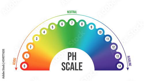 Vector illustration of pH scale isolated on white background. Color pH value scale chart meter infographic. Litmus paper indicator for acid-alkaline solution. 