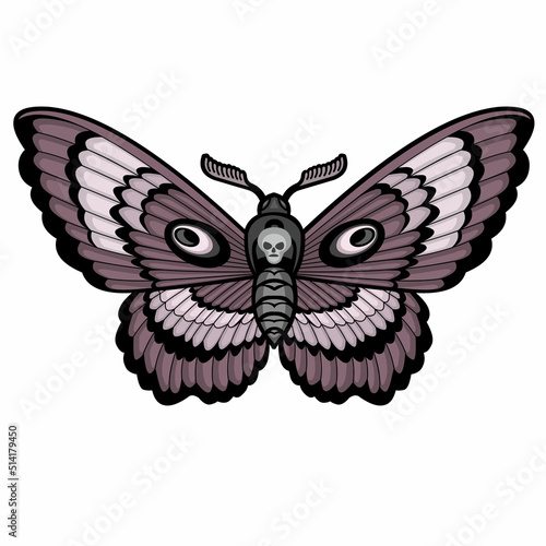 death's-head hawk moth and skull