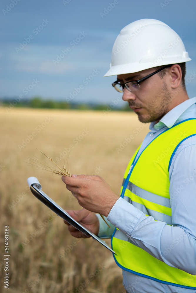 Fototapeta premium Agro engineer at the field inspection, the farmer stands in a wheat field with a folder in his hands and checks the harvest, the engineer stands in a field with wheat