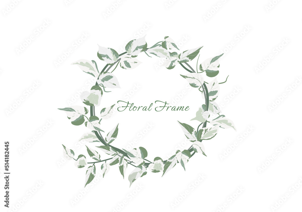 the spotted foliage wicker whip crown vector isolated on white background the spotted foliage wicker whip crown vector isolated on white background