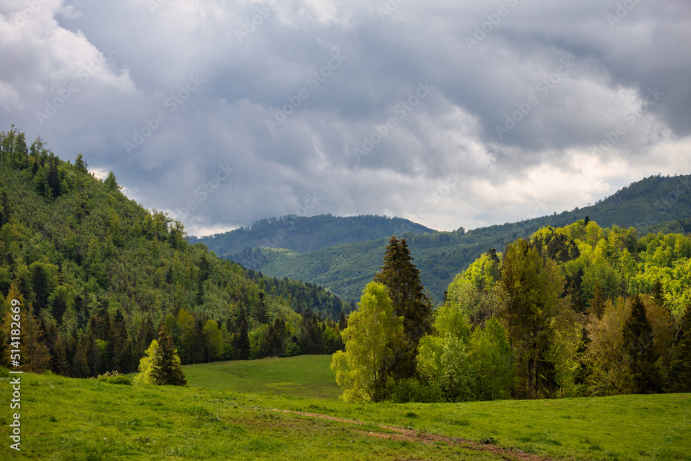 Spring landscape of meadows and forests. The Muranska planina plateau national park in central Slovakia, Europe.